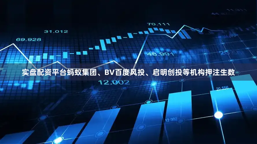 实盘配资平台蚂蚁集团、BV百度风投、启明创投等机构押注生数